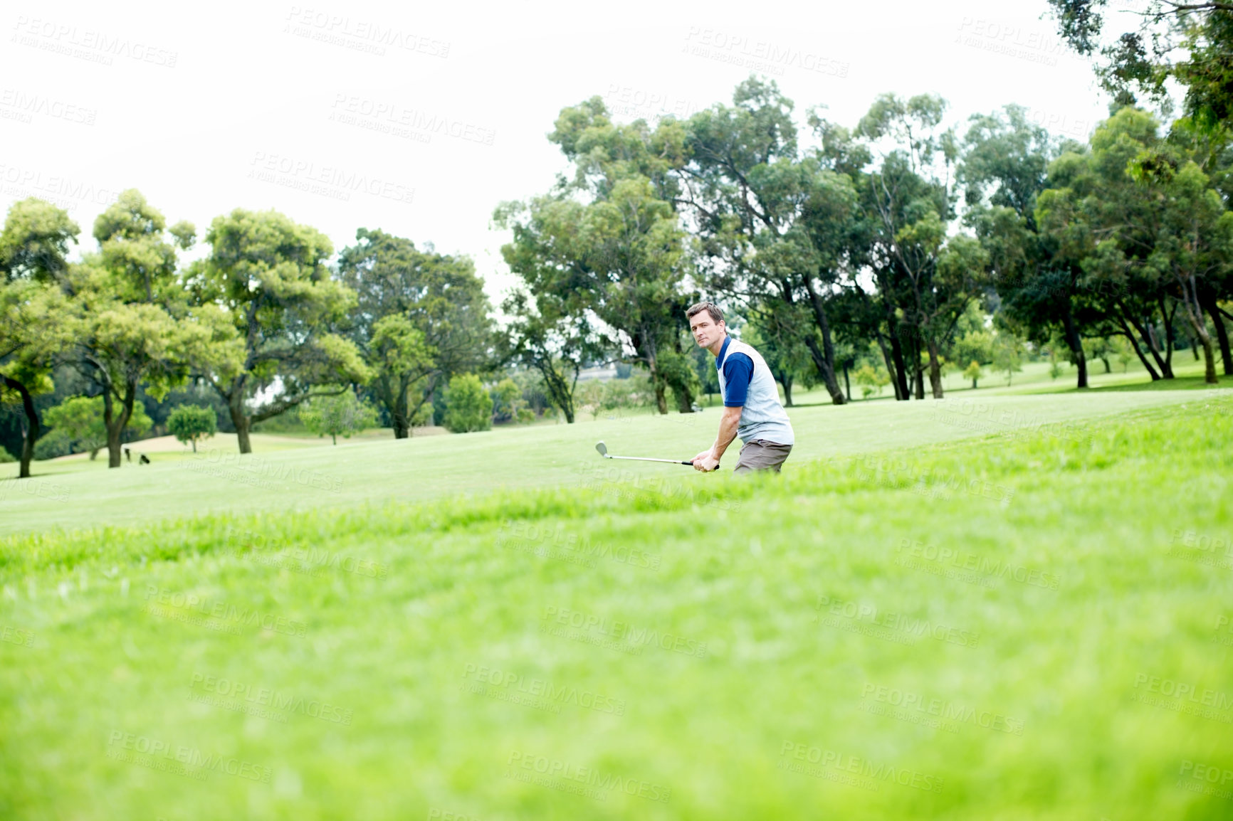 Buy stock photo Grass, game and man on golf course for outdoor exercise, fitness and challenge in morning with trees. Sports, play and professional golfer on green for competition, health and wellness in nature