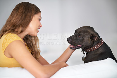 Buy stock photo Shot of an attractive young woman sitting with her dog on the sofa at home