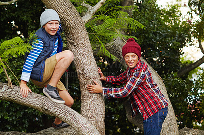 Buy stock photo Cropped shot of two boys climbing a tree together