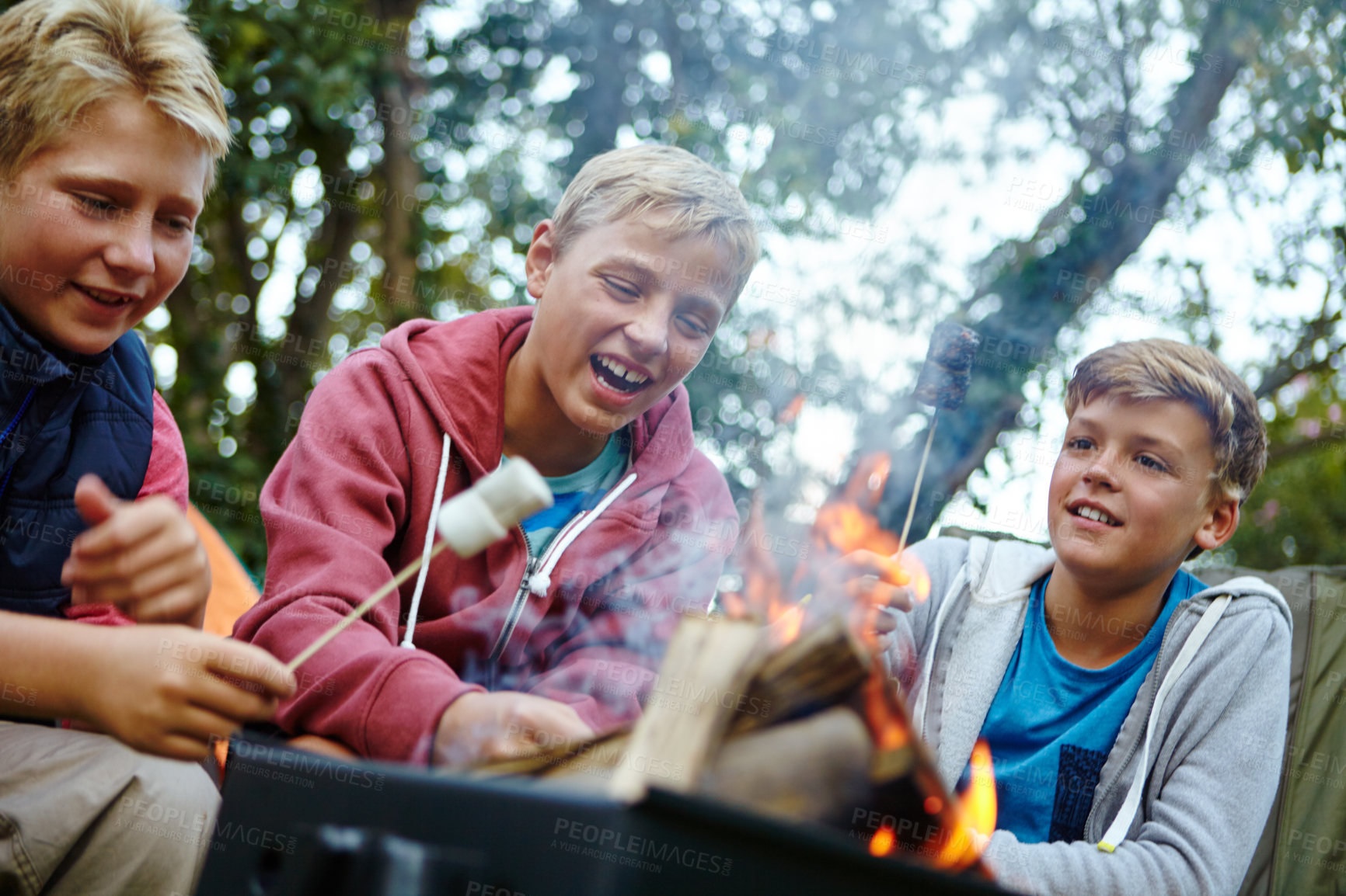 Buy stock photo Cropped shot of three young boys cooking marshmallows over the campfire