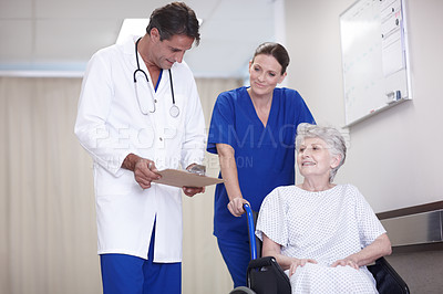 Buy stock photo A female nurse pushing a senior patient in a wheelchair down the corridor while talking with her doctor