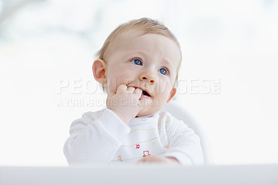 Buy stock photo A cute baby boy sitting in his high chair with his fingers in his mouth