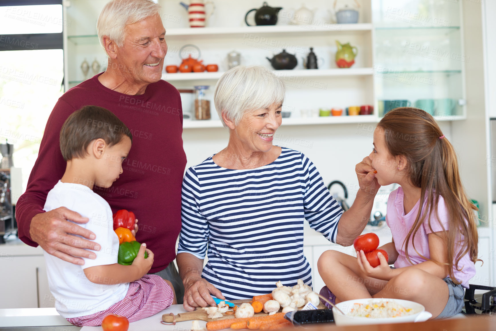 Buy stock photo Shot of grandparents preparing dinner with their grandchildren in a kitchen