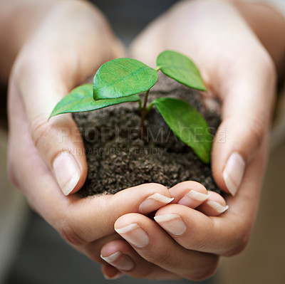 Buy stock photo Hands, soil and woman with plant for earth day, future or eco business, funding or support closeup. Recycle, sustainability or female volunteer with leaf growth for agriculture, climate change or ngo