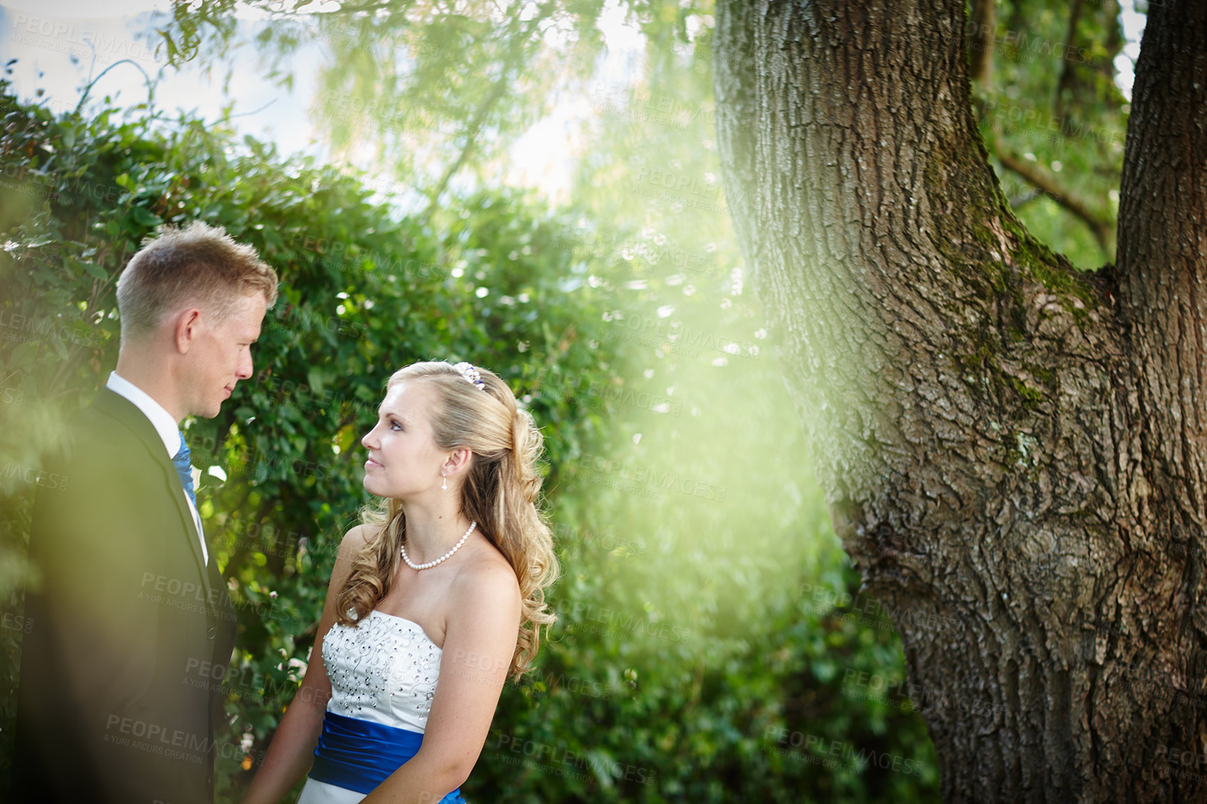 Buy stock photo Shot of a bride and groom on their wedding day