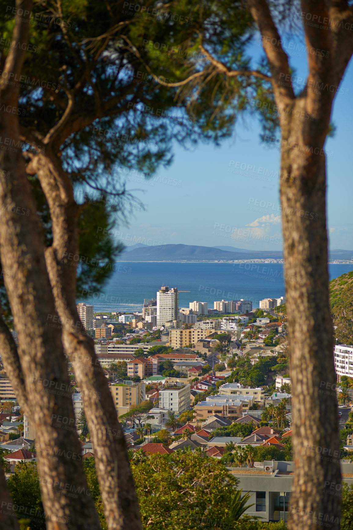 Buy stock photo City, trees and landscape with buildings outdoor, mountain and ocean in California. Cityscape, architecture and infrastructure of urban town with sea water, houses or apartment for travel on vacation