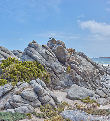 Buy stock photo Rocks, plants and blue sky at beach for adventure, water and sand or ocean with sunshine. Environment, landscape and waves or greenery for travel, tourism or summer in nature for holiday or vacation 