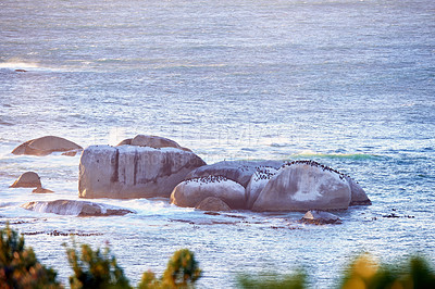 Buy stock photo Ocean, rock and nature landscape with environment and horizon for peace, travel destination and holiday location. Coastline, stone and sea water for tropical seascape, scenery and calm in relaxation