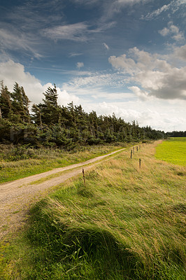 Buy stock photo Road, landscape and nature of grass, outdoor and environment with plants in earth and peace. Farmland, green and sustainability for farming, agriculture and growth of trees in Brazil and pathway