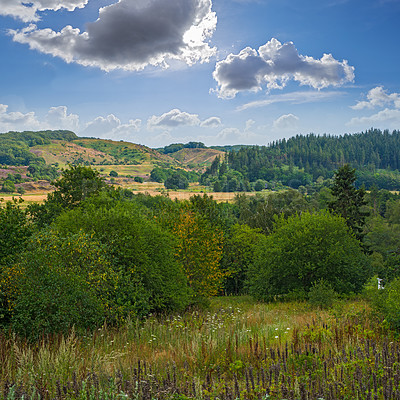 Buy stock photo Nature, countryside and forest trees with sky, natural park and sustainable environment for growth or peacefulness. Landscape, calm and ecology in Denmark or outside, harmony valleys and clouds