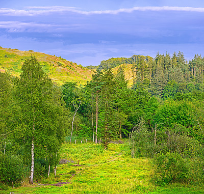 Buy stock photo Nature, countryside and forest trees in summer, natural park and sustainable environment for growth or peacefulness. Landscape, calm and ecology in Denmark with field, harmony valleys and clouds
