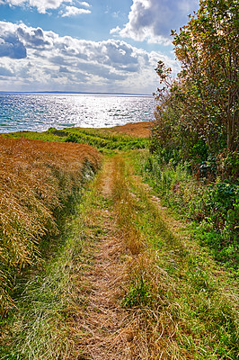 Buy stock photo Lake, sky and path with field in agriculture environment, sustainability or nature landscape. Rural, morning and bush plant in countryside for farming, growth development or harvest in Denmark