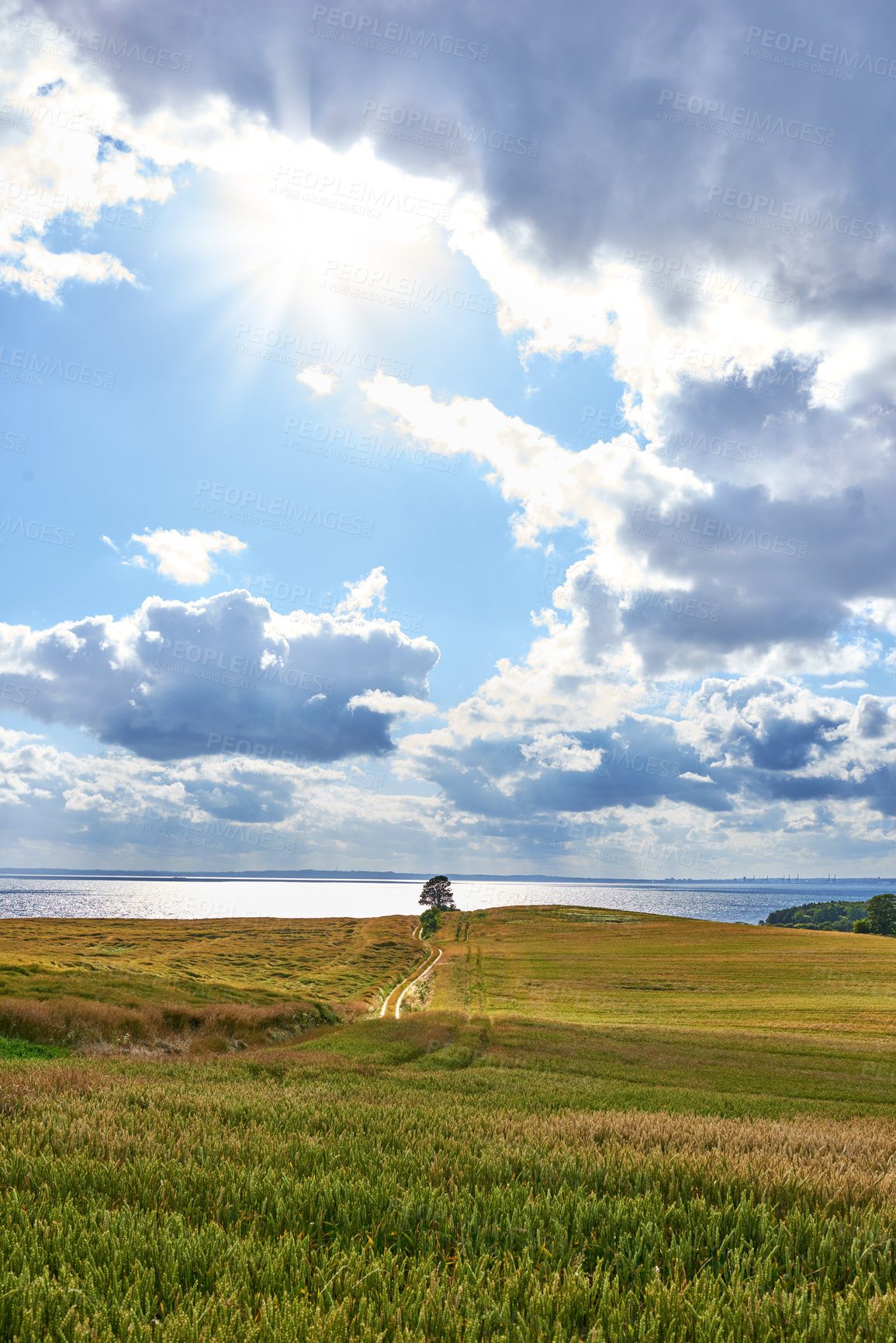 Buy stock photo Landscape, blue sky or clouds and field in nature with dirt road, sea or grass for travel. Sunshine, ocean or water and outdoor in meadow for journey, adventure and street in countryside for vacation