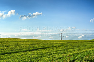 Buy stock photo Landscape, blue sky and power line in field for electricity, sustainability and outdoor in nature. Grass, growth and agriculture in countryside and eco friendly development or clean energy in meadow