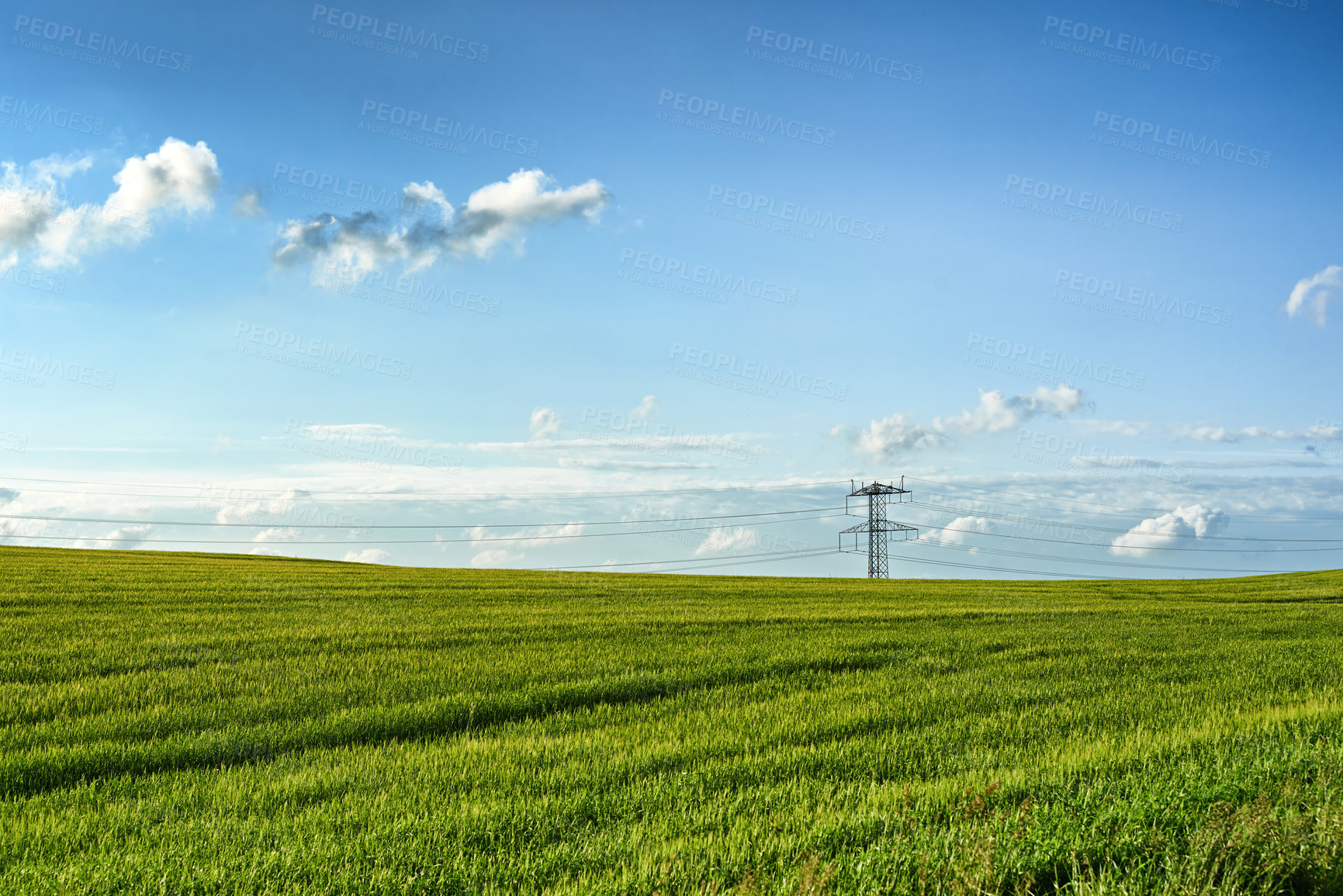 Buy stock photo Landscape, blue sky and power line in field for electricity, sustainability and outdoor in nature. Grass, growth and agriculture in countryside and eco friendly development or clean energy in meadow