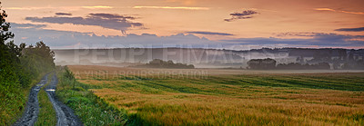 Buy stock photo Farmland in springtime - Jutland, Denmark