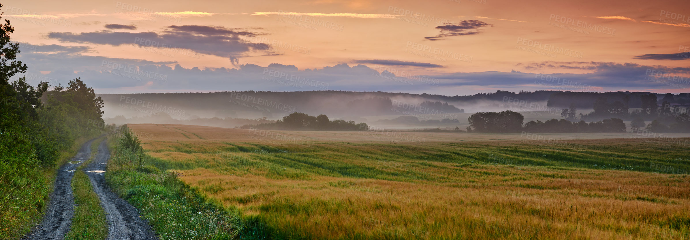 Buy stock photo Farmland in springtime - Jutland, Denmark