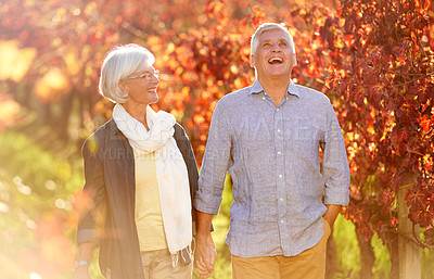Buy stock photo Cropped shot of a senior couple walking hand-in-hand through a vineyard