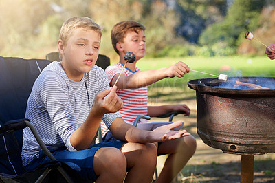 Buy stock photo A young boy looking disappointed after burning his marshmallow on the campfire