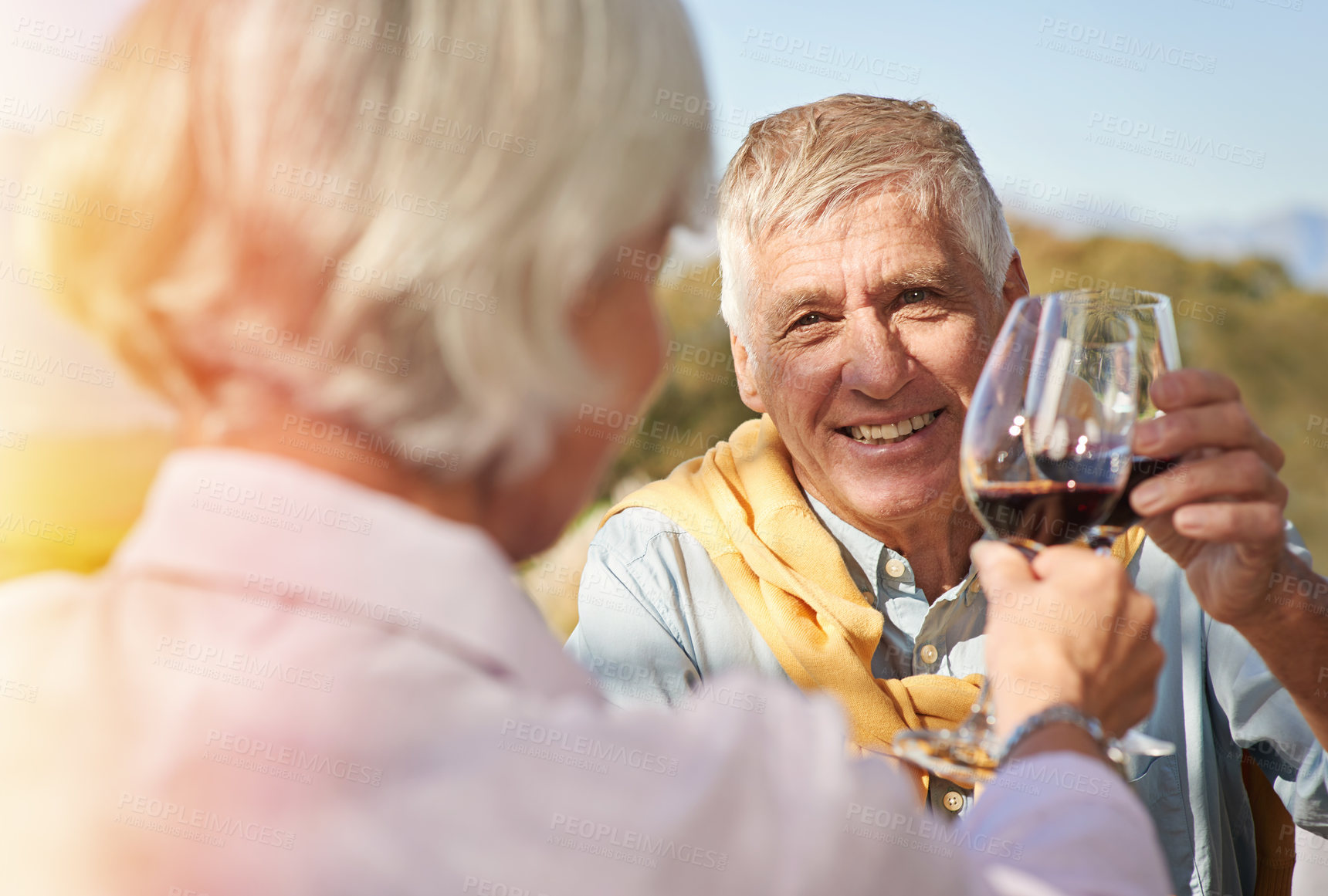 Buy stock photo Shot of a happy senior couple toasting with their glasses of wine
