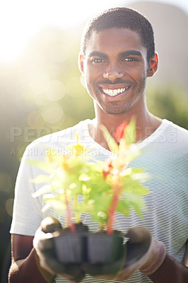 Buy stock photo Portrait, happy and planting flowers with black man in garden of home for summer landscaping. Face, nature and smile with young person gardening outdoor in backyard for growth or green cultivation