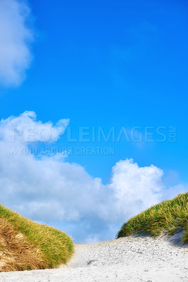 Buy stock photo Landscape of sand dunes under cloudy blue sky copy space on the west coast of Jutland in Loekken, Denmark. Closeup of tufts of green grass growing on an empty beach during a summer day