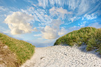 Sand dunes at the Westcoast of Jutland, Denmark