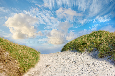 Buy stock photo Landscape view of beach sand dunes on the empty west coast of Jutland in Loekken, Denmark. Tufts of lush green grass growing along path on a summer day. Cloudscape blue sky with clouds and copyspace