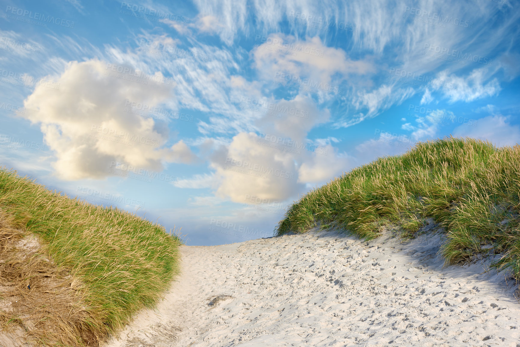 Buy stock photo Landscape view of beach sand dunes on the empty west coast of Jutland in Loekken, Denmark. Tufts of lush green grass growing along path on a summer day. Cloudscape blue sky with clouds and copyspace