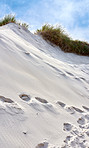 Sand dunes at the Westcoast of Jutland, Denmark