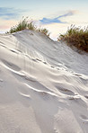 Sand dunes at the Westcoast of Jutland, Denmark