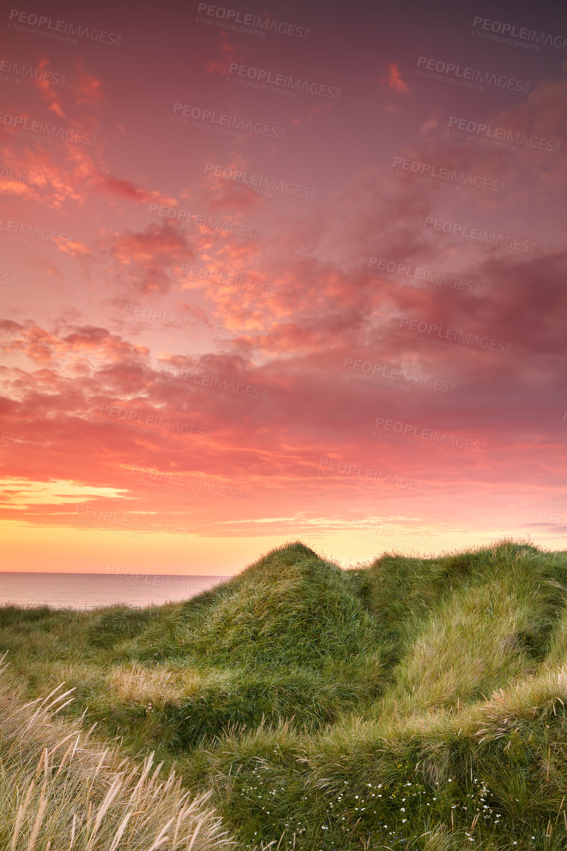 Buy stock photo Sunset on the west coast of Jutland - Lokken Beach, Denmark. Beautiful landscape with lush grass waving in the wind during sunset or over a ocean with red, orange, blue, and yellow colors in the sky 