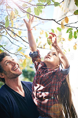 Buy stock photo Father, girl and bonding in fall nature, trees and backyard garden in autumn or child, touching leaf and branch. Young parent, little kid and happy together in green, outdoor and natural environment