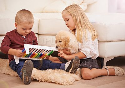 Buy stock photo Children, puppy and kid toy in a home with animal, pet and youth development in a living room. Golden retriever, abacus and fun with dog together by couch in a house with bonding and sibling on floor