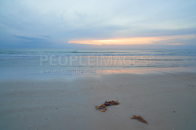 Buy stock photo Seascape and landscape of a blue sunset on the west coast of Jutland in Loekken, Denmark. Beautiful cloudscape on an empty beach at dusk. Clouds over the ocean and sea in the evening with copyspace 