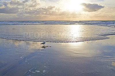 Buy stock photo Beautiful sunset at the beach on a cloudy summer day. Seascape and landscape of a golden sunrise on the coastline of Denmark. An empty shore with nobody at dusk clouds over the ocean or sea