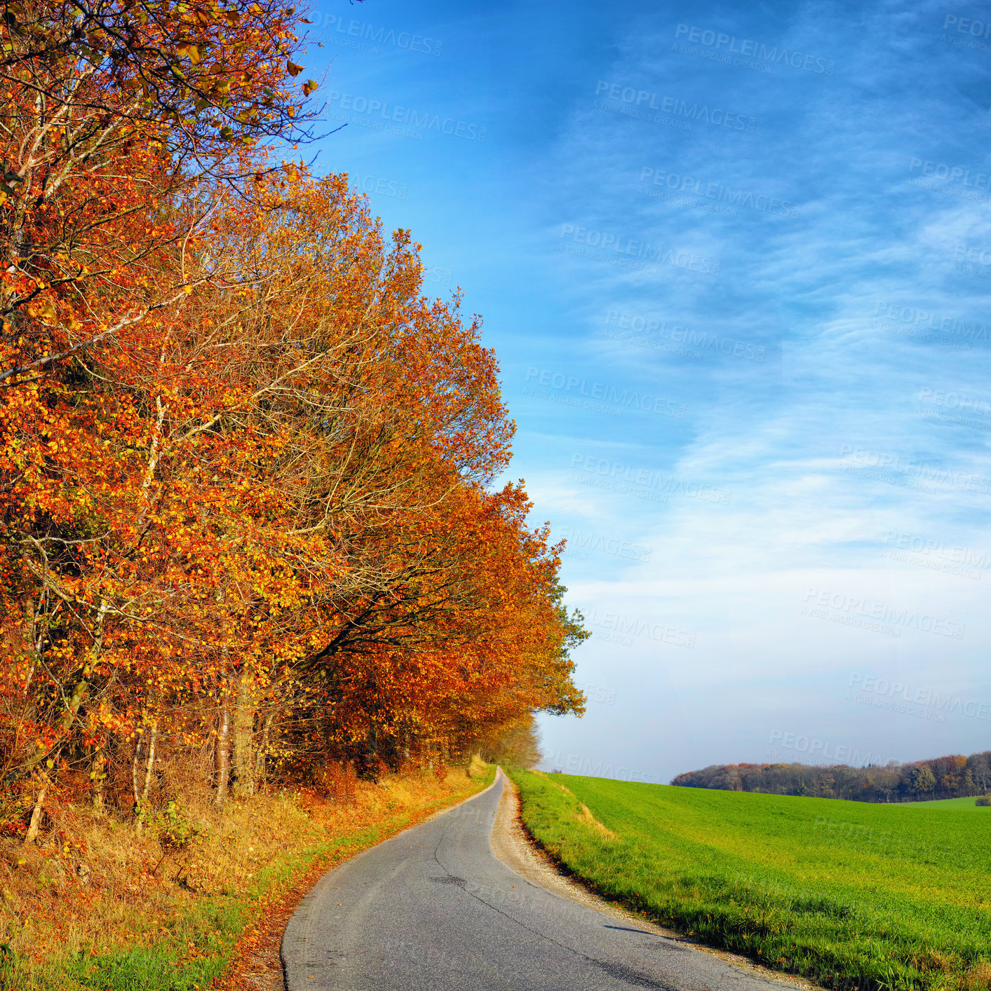 Buy stock photo Autumn, leaves and sunshine with trees by road for eco friendly, environment and outdoor travel. Wallpaper, blue sky and colorful trees at countryside for vacation, journey and holiday in Germany