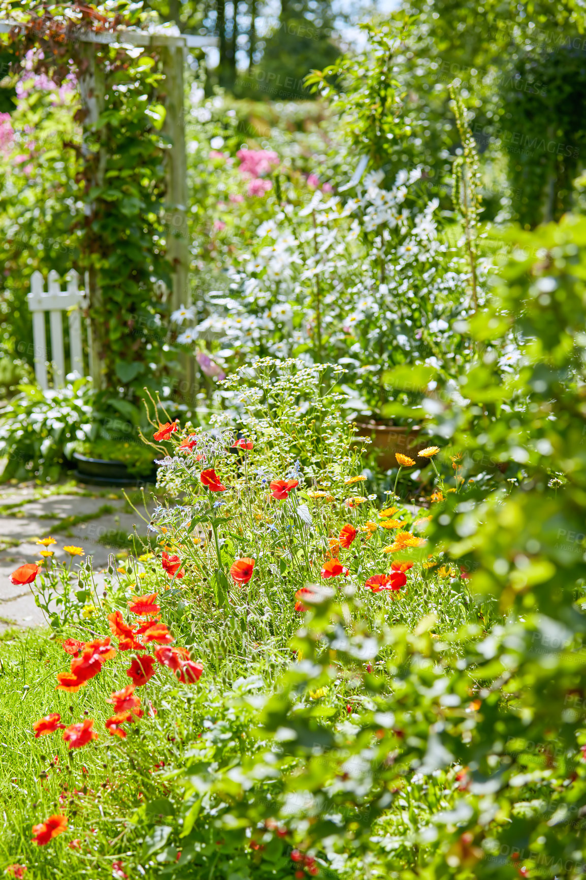 Buy stock photo A photo of the garden in late summer