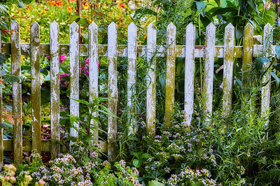 Buy stock photo A photo of the garden in late summer