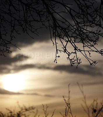 Buy stock photo Forest and landscape in the colors of autumn