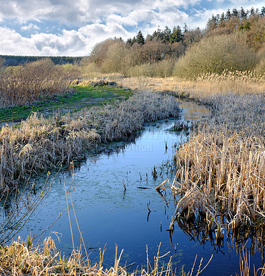 Buy stock photo Nature, trees and forest with river in autumn for eco friendly, environment and sustainability of earth. Sky, clouds and water with plants at countryside for ecology, stream and foliage in Germany