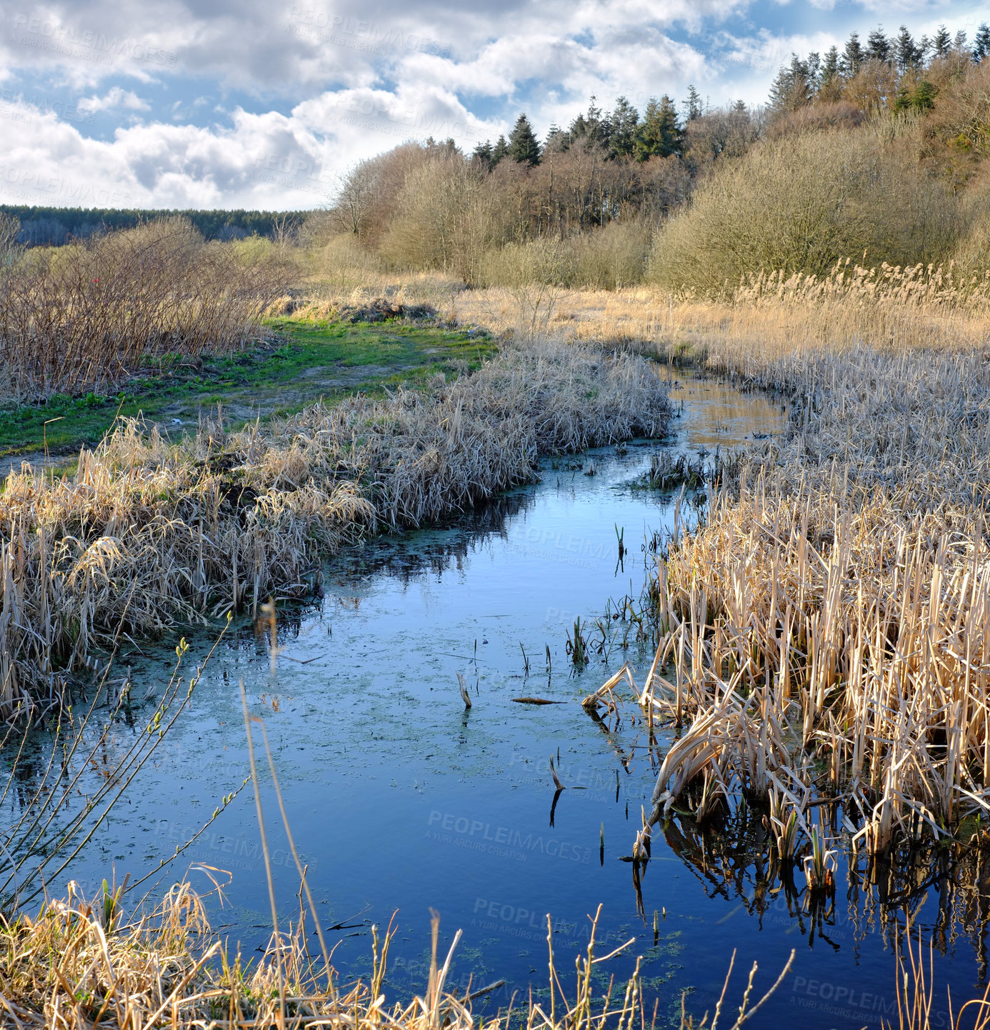 Buy stock photo Nature, trees and forest with river in autumn for eco friendly, environment and sustainability of earth. Sky, clouds and water with plants at countryside for ecology, stream and foliage in Germany