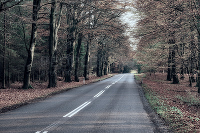 Buy stock photo Nature, landscape and road in forest in winter for environment, ecosystem and ecology. Natural background, wallpaper and street in woods for terrain, traveling and scenic destination in countryside