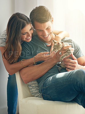 Buy stock photo Couple, kitten and happy in home on sofa with hug for love, bonding or care for pet in living room. People, man and woman with kindness, embrace and stroke for baby cat in lounge for animal adoption