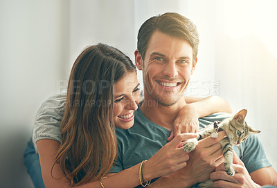 Buy stock photo Couple, kitten and smile in home with care, hug and love for bonding with pet in living room. People, man and woman with kindness, portrait and excited for cat in lounge for animal adoption at house