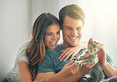 Buy stock photo Kitten, love or happy young couple play and in their home. Support or caring, smiling people with animal and happy family with cat pet spending quality or bonding time in living room at house