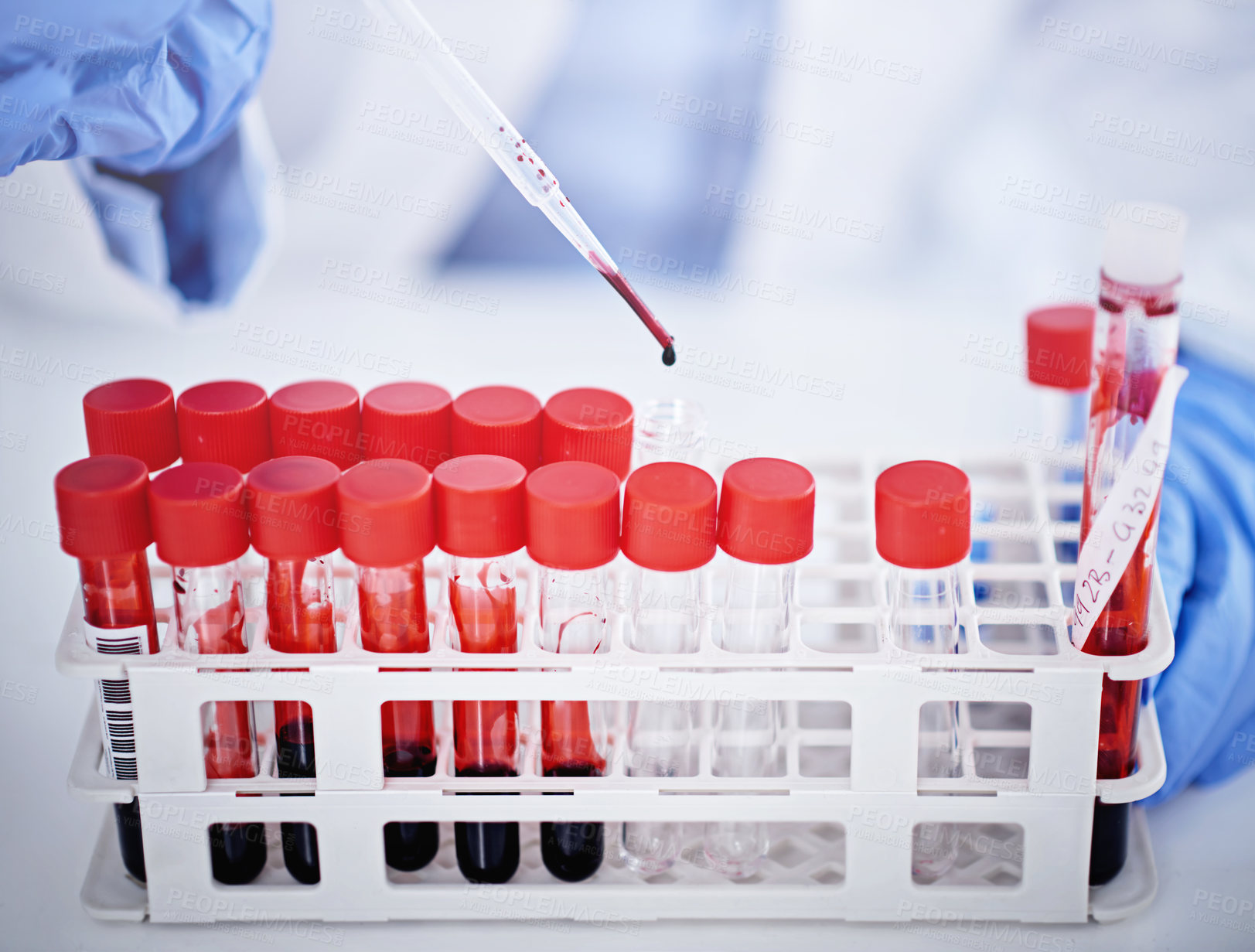 Buy stock photo Cropped shot of a lab technician holding vials of blood