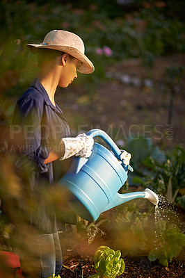 Buy stock photo Shot of a young woman watering her garden