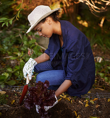 Buy stock photo Shot of a young woman gardening in her backyard