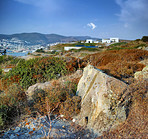 Wilderness by the Mediterranean Sea, Bodrum, Turkey